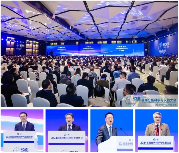 微信截图_20241121165205
