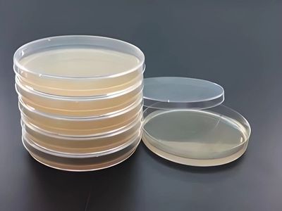 微生物培养平板倒置？