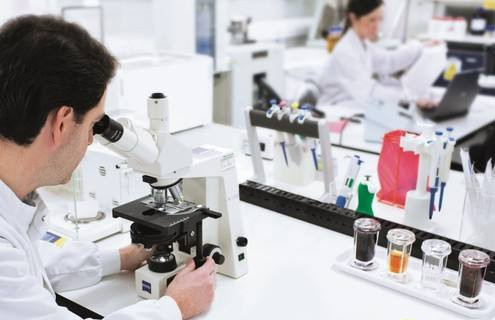 【速看】常见微生物在常见选择性培养基上的菌落特征!