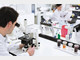 【速看】常见微生物在常见选择性培养基上的菌落特征!
