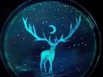 常见微生物学基础知识问答