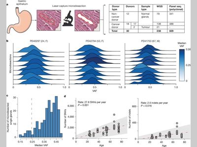 Nature：科学家揭秘胃癌发生的第一步：从炎症到癌变的基因密码