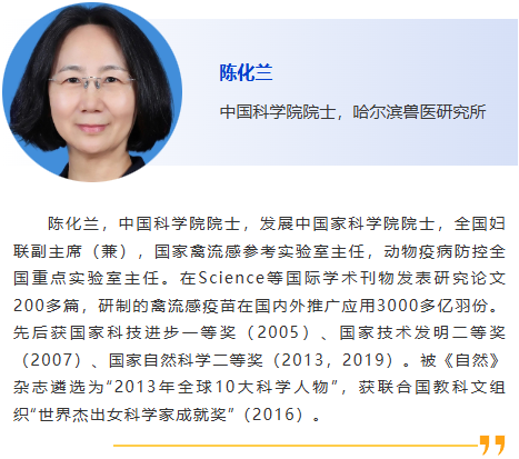 图片7
