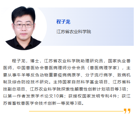 图片8