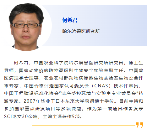 图片13