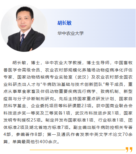 图片14