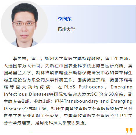 图片17