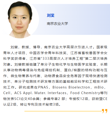 图片19