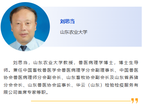 图片20