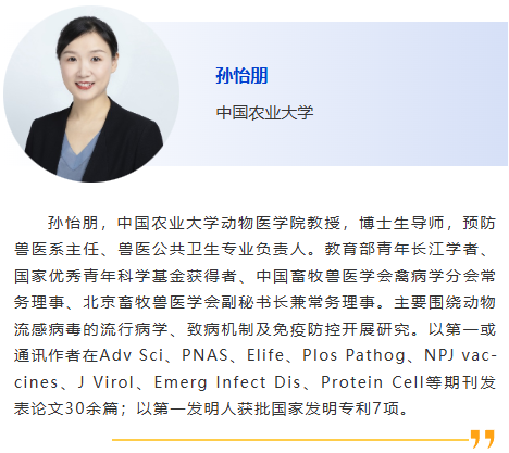 图片24