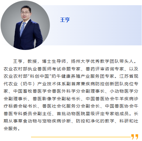 图片26