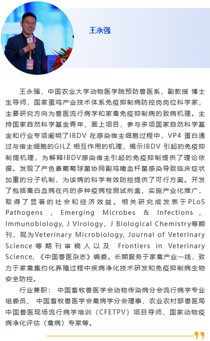 图片27