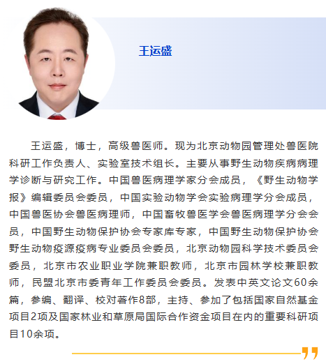 图片28