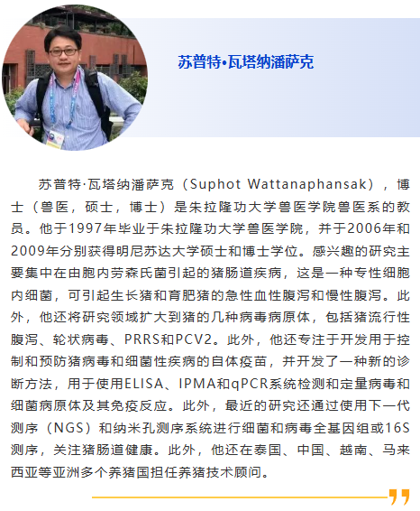 图片29