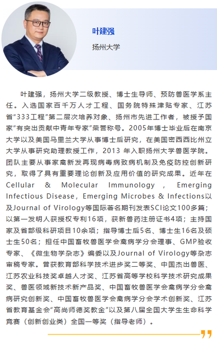图片33