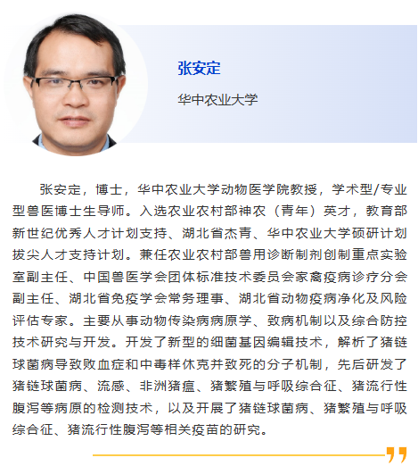图片35