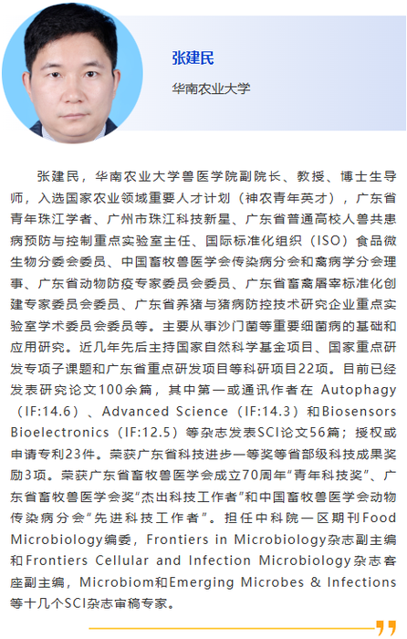 图片36
