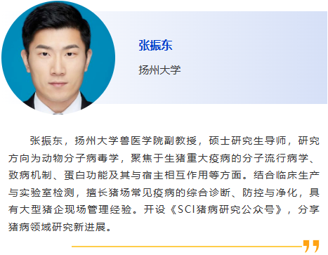 图片38