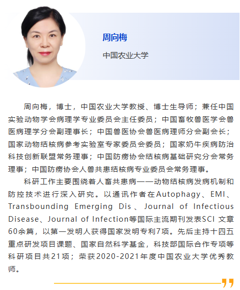图片39