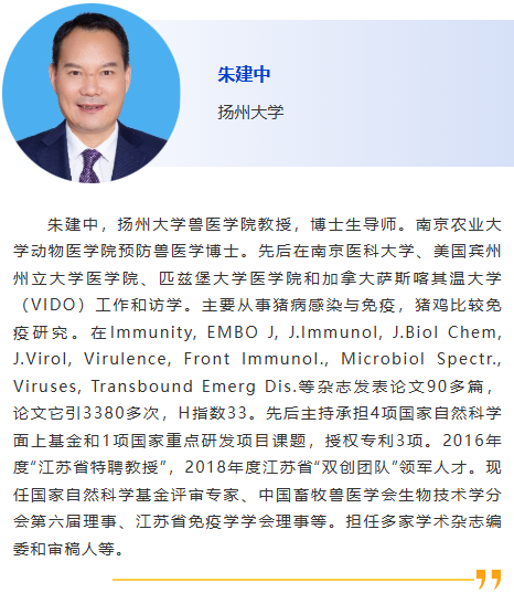 图片40