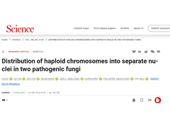 四川大学最新 Science研究揭示了一种真菌染色体分配的全新机制，或改写教科书