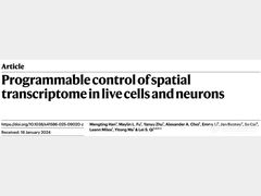 Nature ！中国科学家开发新型可编程的空间转录组调控技术CRISPR-TO