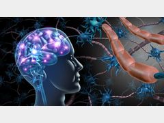 Nature：多巴胺神经元中的未来奖励多维分布图，科学家解锁大脑的“奖励预测”密码