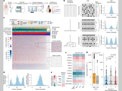 Nature：科学家成功利用新算法揭开癌症“黑匣子”并预测肿瘤的演变和临床进程