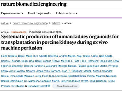 Nature子刊：首次将人类肾脏类器官与猪肾脏融合，并成功移植到体内