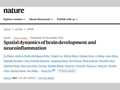 Nature：大脑“GPS”升级版！科学家绘制出发育与炎症的立体地图