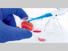 【硬核经验】提高效率的实验小技巧！