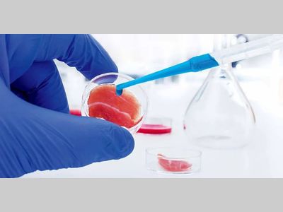 【硬核经验】提高效率的实验小技巧！