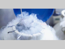 【干货】气相色谱柱必看维护指南！！