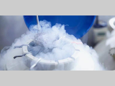 【干货】气相色谱柱必看维护指南！！