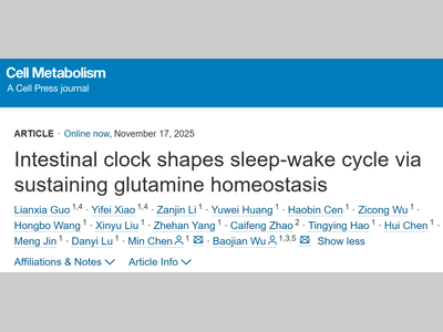 广州中医药大学吴宝剑等发现，肠道生物钟通过维持谷氨酰胺稳态形成睡眠-觉醒周期