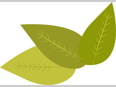 为什么你的革兰氏染色不成功？