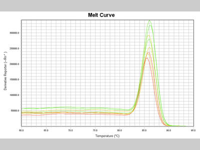 【必看】1分钟看懂qPCR曲线图