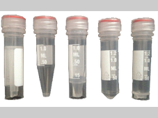 【干货】菌种活化的操作方法！