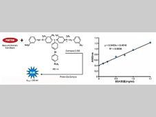 【必看】“蛋白”是怎么定量的？