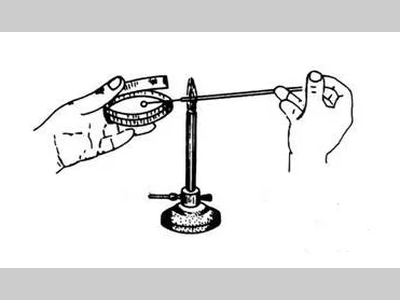 【怎么办】微生物培养失败？