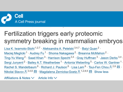 Cell | 改写教科书！ 命运的“第一刀”：受精瞬间，生命的对称性就已破碎