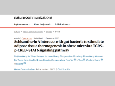 Nature 子刊|丁丽丽研究员、杨莉研究员团队合作破解中药来源天然产物促进脂肪产热减重新机制