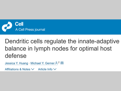 Cell | 意想不到！作为枢纽：树突状细胞在炎症期间协调先天细胞组织，作为淋巴结先天与适应性免疫功能的桥梁