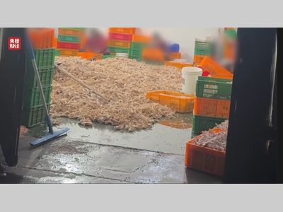 “3·15晚会”曝光名单全记录！