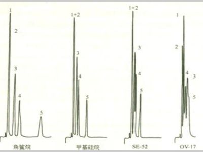气相色谱如何有效地进行分离条件优化？