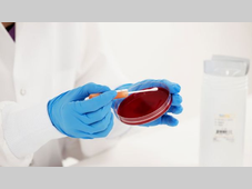 【收藏】标准菌株的活化方法