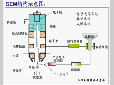 材料表征核心技术：SEM 扫描电子显微镜精讲