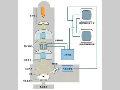 半导体产业之眼：一文了解 CD-SEM 关键尺寸扫描电镜及其真空系统