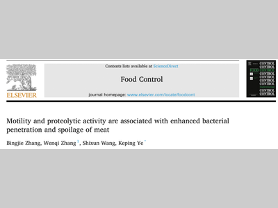 南京农业大学叶可萍教授团队Food Control新成果：细菌运动性和蛋白水解活性与肉的渗透性和腐败变质有关