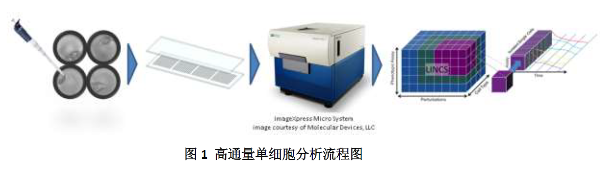 企业微信截图_20240308102628.png